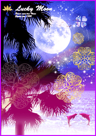 Love luck Full moon and dolphins2