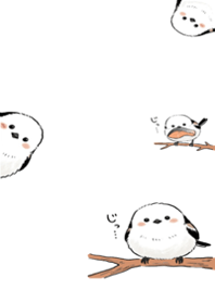 Fluffy "Snow Fairies"