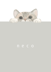 ねこねこねこねーこ