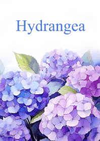 "Hydrangea vol.4" theme
