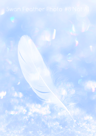 Swan Feather Photo #8-18Not AI