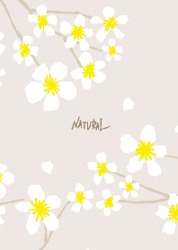 A white flower blooms beige5 from Japan