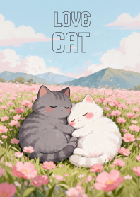 Pretty Gray Cat & White Cat