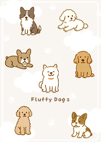 beige Sunny Fluffy Dogs02_1