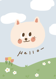貓咪卡卡！