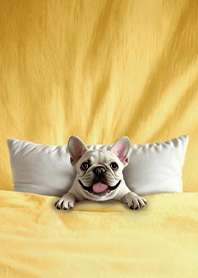 สนุกผ้าห่มนวมผ้าฝ้าย-เฟรนช์บูลด็อก 1F