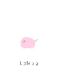 little cute pig