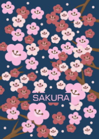 SAKURA / 満開の桜 夜