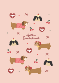 Dachshund cute : love pink