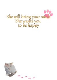 sweet cat and cozy place