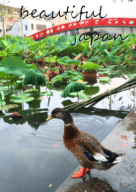 日本の景色～日常～