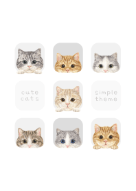 CATS - Munchkin - WHITE/GRAY