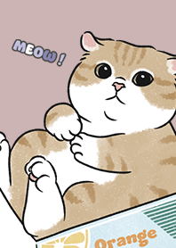 neko single16 / rose pink