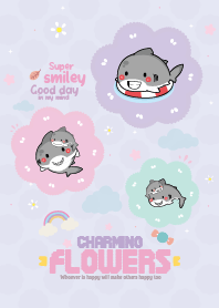 Shark Daily Cuteness