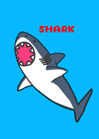 SHARK & SHARK
