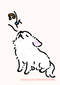 Singing Dog-Chihuahua(white)-