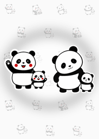 Panda Slow Day