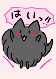 元気にお返事！黒猫ちゃん