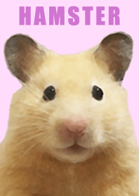 KinkumaHamster_pink