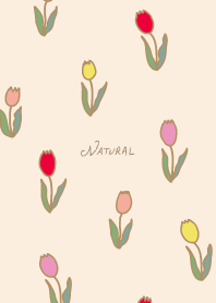 lots of tulips20 from Japan