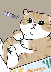 neko single16 / khaki