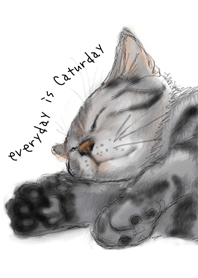 毎日は猫の日です