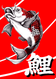 鯉の着せかえ2
