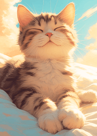リラックス-日向でお昼寝する猫1.1.1