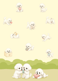 可愛快樂比熊犬-7