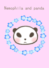 ネモフィラとぱんだ。2nd