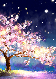 Beautiful night cherry blossoms#954