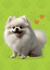 Cute Pomeranian Theme Green 03