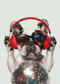 Headphone Haven: Frenchie's Beats.