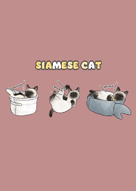 siamesecats5 - pale pink