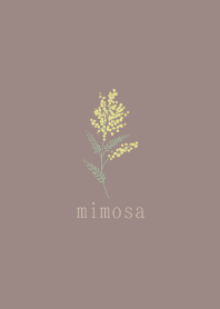 mimosa simple red