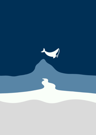 midnight whale