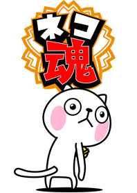 The cat soul