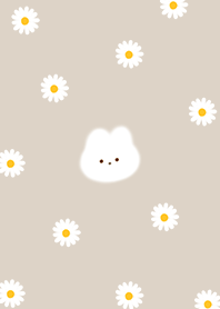 Rabbit and Daisy brown03_2
