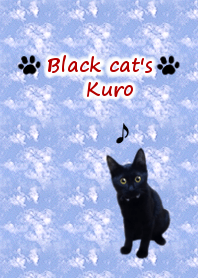 Black cat named "-Kuro-"