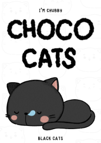 แมวช้อคโก้ - เจ้าแมวดำอ้วน