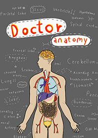 Doctor Anatomy
