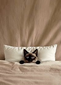 Fun playful cat blanket-Siamese cat3E