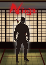 Black shadow of ninja 2
