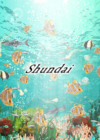 Shundai Coral & tropical fish2