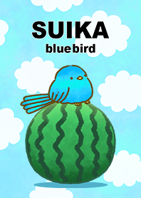 Suica blue bird