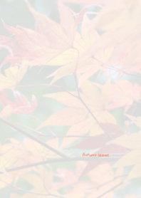 Autumn leaves Theme 8