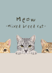 Meow - Mixed breed cat 03 - BLUE GRAY