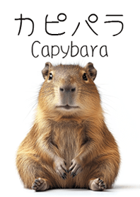 Capybara1
