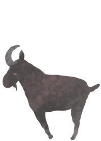 Yagi goat