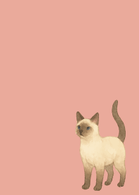 Siamese cat holiday pink&blue